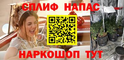 apvp Гусиноозёрск
