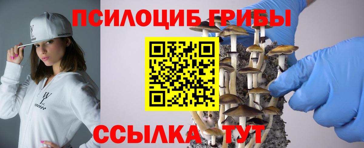 Заринск  Псилоцибиновые грибы Cubensis  Вход с VPN 