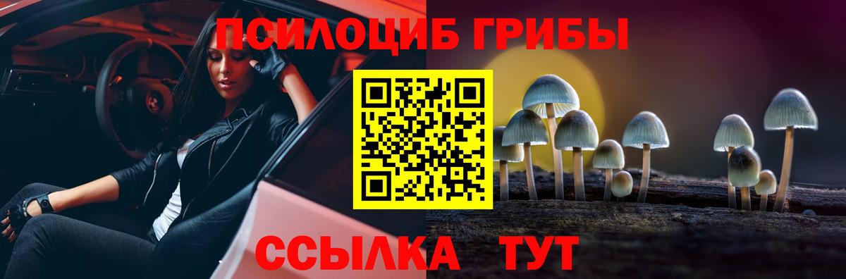 Галлюциногенные грибы ЛСД Заринск